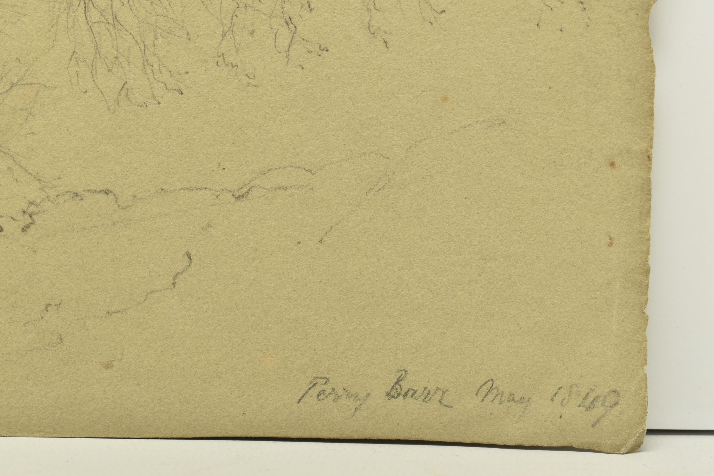 George Wallis sketch – study of a tree, Perry Barr, North Birmingham (1849)