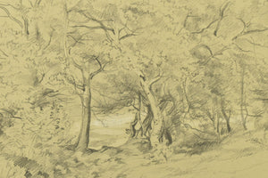 RARE: George Wallis – 'Sutton Coldfield in the Park', Birmingham, pencil sketch (1857)